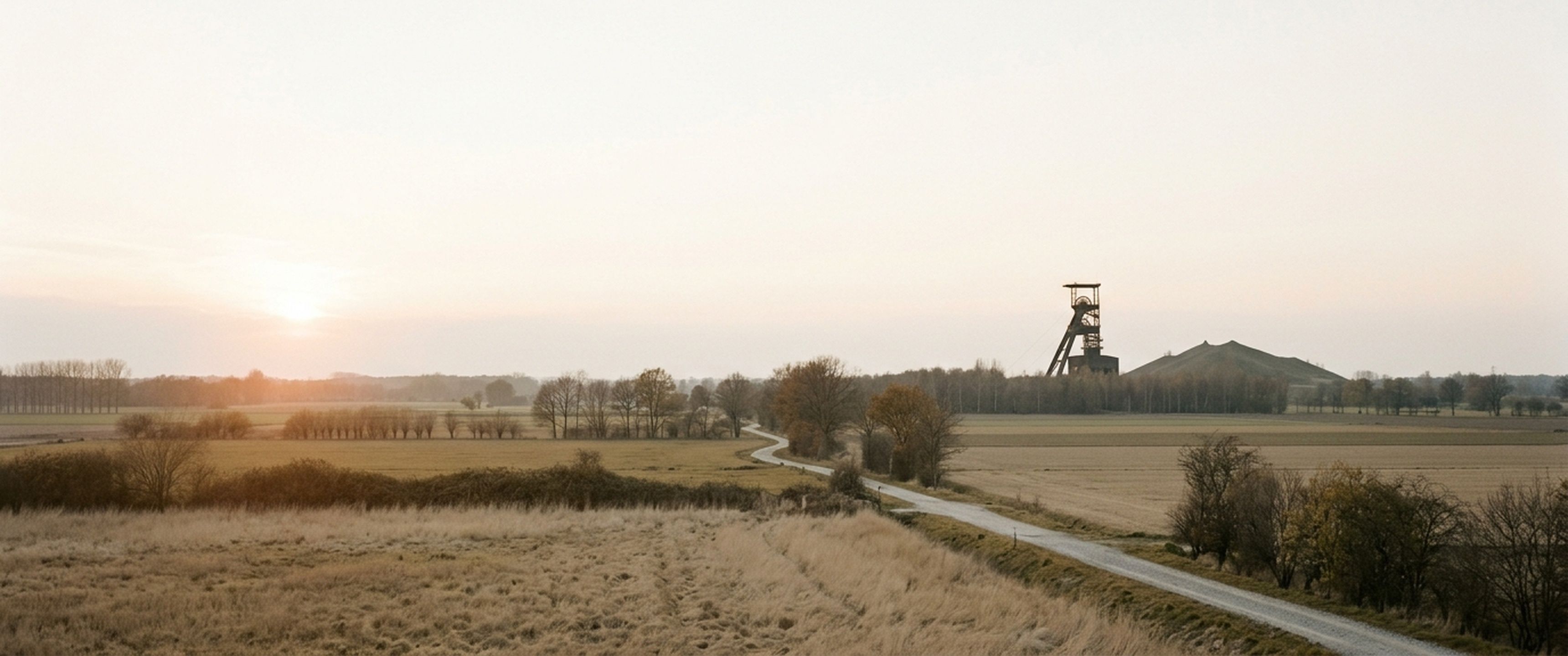 Een weids Limburgs landschap bij zonsondergang, met een mijnschacht en een terril aan de horizon